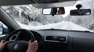 Obrázek z autoškoly